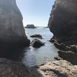 Meet your Posher, Janette